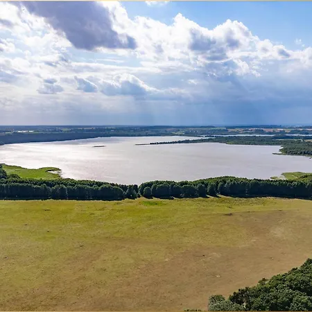 Dhh Angela 1 Korswandt