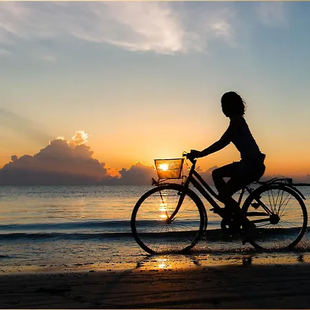 Dhh Angela 1 Korswandt