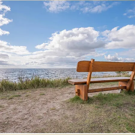 Dhh Angela 1 * Korswandt