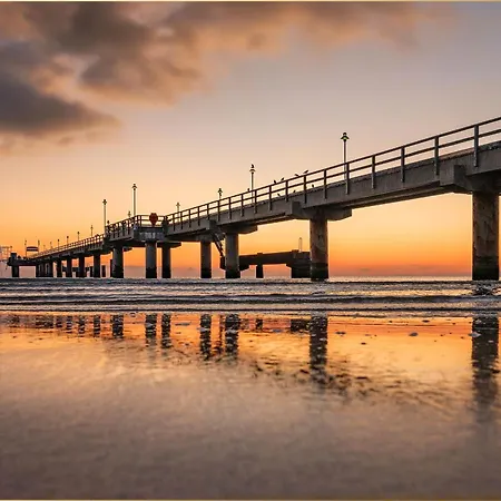 Dhh Angela 1 Korswandt