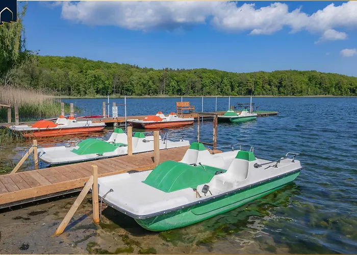 Dhh Angela 1 كورسفانت